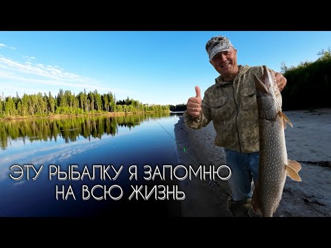 Видео: СУМАСШЕДШАЯ РЫБАЛКА #рыбалка #щука #спининг #fishing #pike #pikefishing #perch