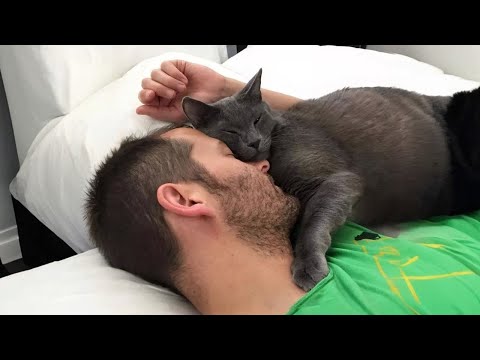 Видео: Когда кошки более ласковые, чем вы думаете😍