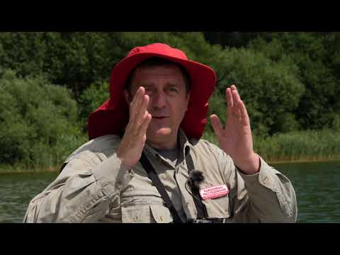 Видео: Структурсканер: так ли он нужен рыболову? \ Рыболовные расследования. Сезон 3.