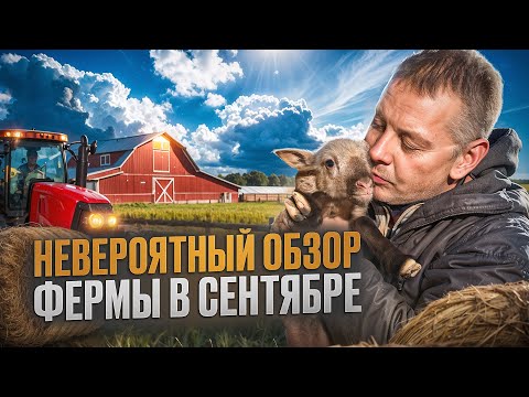 Видео: Сентябрь на ферме: от гусей до... баранов? Удивительный обзор 🤯🐐🦆#МоеПодворье