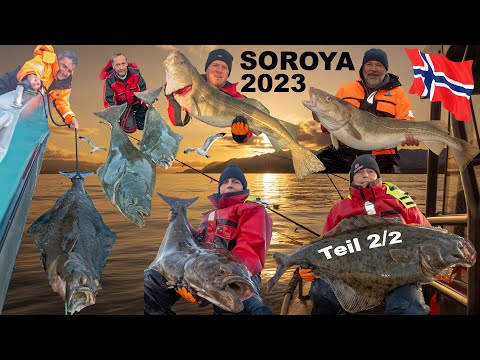 Видео: Рыбалка в Норвегии 2023 - Экстремальная сорока Часть 2/2