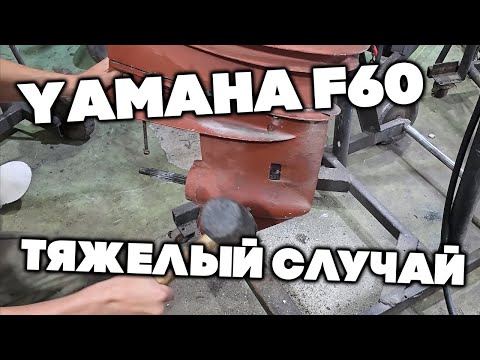 Видео: Тяжелый случай с YAMAHA F60F