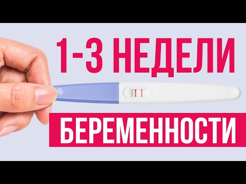 Видео: Признаки начала беременности. Что происходит с организмом в первые 3 недели?