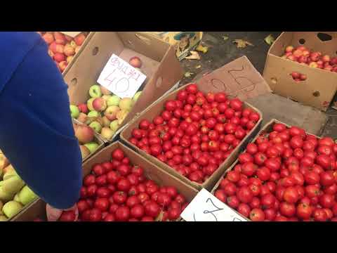 Видео: Павлоград🌺Мясной магазин! Рынок и цены в сентябре !Аптека !🤔