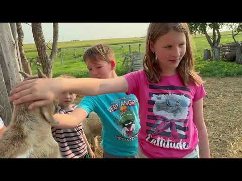 Видео: Канадский фермер - 119