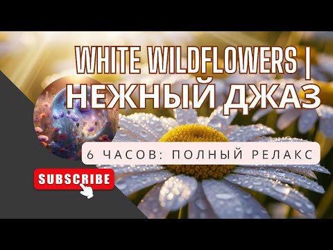 Видео: 6-Hour Serenity: Gentle Piano Jazz for Focus & Relaxation (White Wildflower Visuals)/6 Часов Джаза