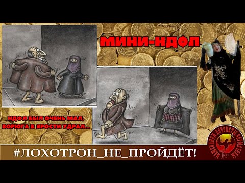 Видео: НДФЛ был очень мал, ворюга в ярости удрал. (Автор - Наталья Рамирес)