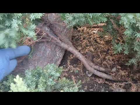 Видео: 18 октября 2025 г.