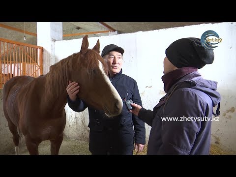 Видео: Спорт тайм - Атбегі Қайрат Маханов. Қоянқасқа