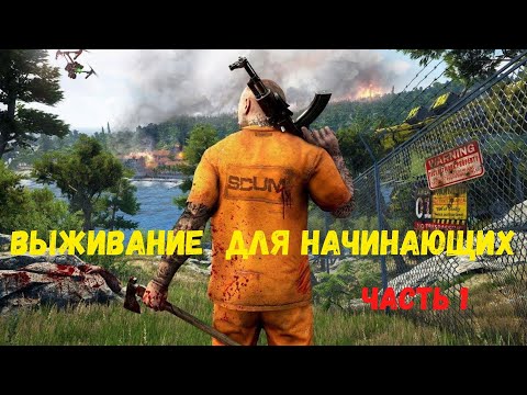 Видео: "Scum" Как начать играть и что делать вначале новичку? Часть 1 (транспорт)