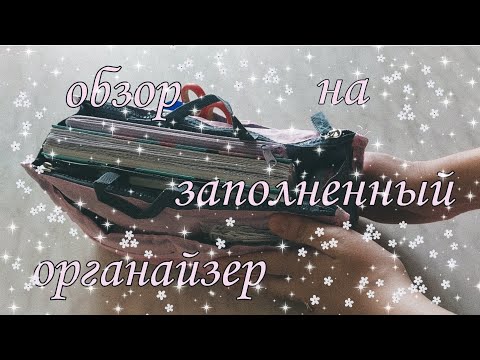 Видео: 🌷ЗАПОЛНЕННЫЙ ОРГАНАЙЗЕР • КАНЦЕЛЯРИЯ • РАЗГОВОРЧИКИ • ЧТО Я ХРАНЮ В ОДНОЙ ТАКОЙ СУМОЧКЕ🤔