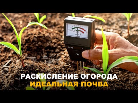 Видео: ПОВЫШАЕМ ПЛОДОРОДИЕ ПОЧВЫ. Раскисление почвы доступными материалами.