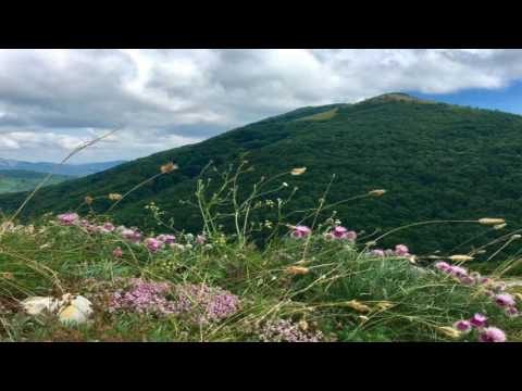 Видео: Юлия Лагун. Твоя истинная позиция.