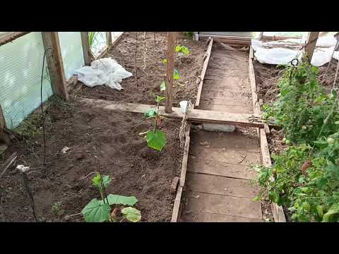 Видео: Осенние зарисовки
