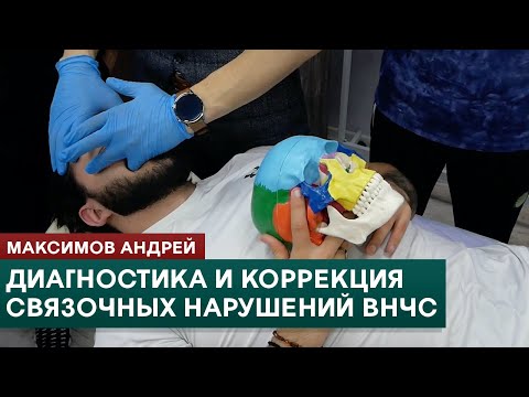 Видео: Диагностика и коррекция связочных нарушений ВНЧС. Прикладная кинезиология. Максимов Андрей