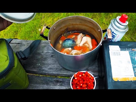 Видео: ТАЕЖНАЯ РЕКА УСТА. ОДИНОЧНЫЙ СПЛАВ. РЫБАЛКА НА ВОБЛЕРЫ. ЦАРСКАЯ УХА!!!