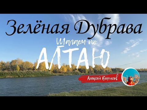 Видео: Зеленая Дубрава - покатались по полям рубцовского района