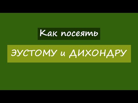 Видео: Как посеять эустому и дихондру?