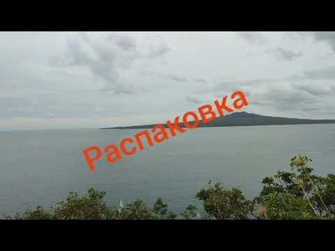 Видео: Распаковка с сайта Temu с приветом из Новой Зеландии