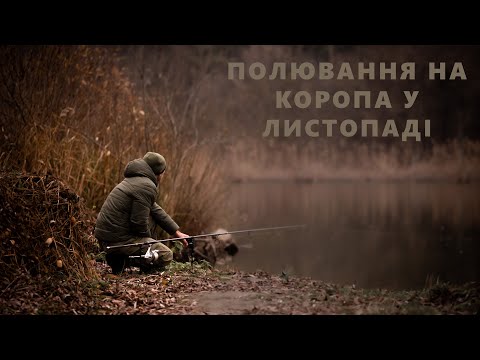 Видео: Полювання на коропа у листопаді