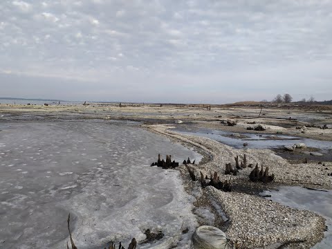 Видео: Оскол , Яцкое  20.01.2023 год . Плотва .