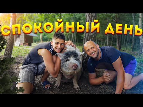 Видео: День без строительства . Год назад мы подметали веником и мылись в тазике .А теперь у нас 3 пылесоса