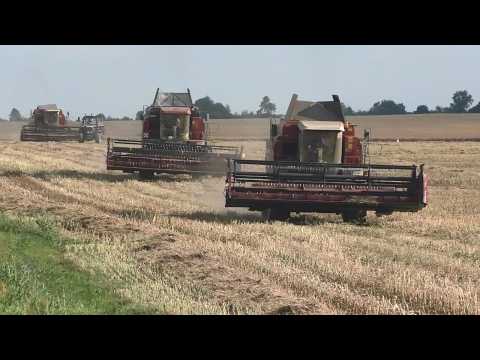 Видео: Масштабная уборка рапса 2025 Гомсельмаш PRO, Палессе и John Deere в ОАО Журавлиное!