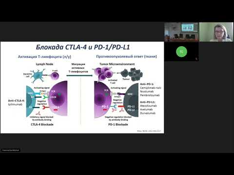 Видео: Иммуноонкология (вебинар 7 октября 2021)