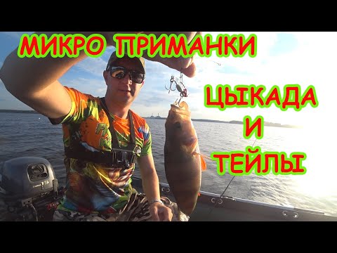 Видео: РЫБАЛКА на МИКРО ТЕЙЛ-СПИННЕРЫ и ЦИКАДЫ!