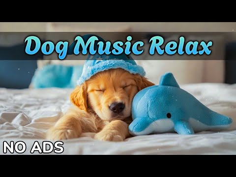 Видео: Музыка для собак при разлуке и беспокойстве 🎵 Щенок спокойно спит 💤 Без рекламы