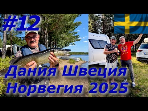 Видео: Дания Швеция Норвегия 2025 #12 Первая щука на новом месте/ Незапланированная встреча 