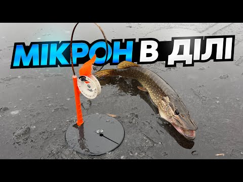 Видео: Провалився , але відловився. Жерлиці, балансири, безмотилка. Кайфуємо на льоду