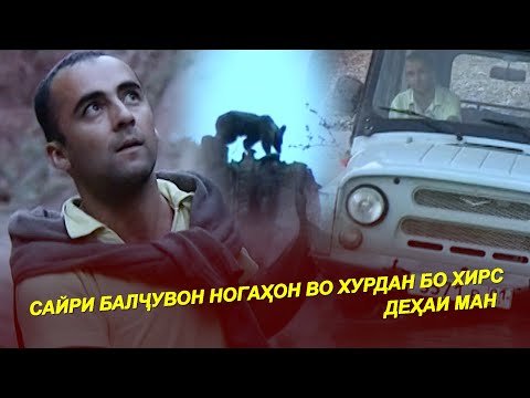 Видео: САЙРИ БАЛҶУВОН / НОГАҲОН ВОХУРДАН БО ХИРС I МЕХМОНИ ДАР БОЛОИ ДАРАХТ / Шакл