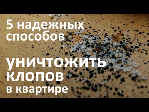Видео: 5 эффективных способов уничтожить постельных клопов в квартире
