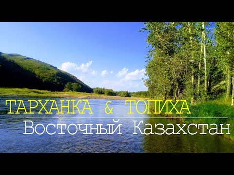 Видео: с.ТАРХАНКА & с.ТОПИХА. Восточный Казахстан. Съемка июнь 2022г.