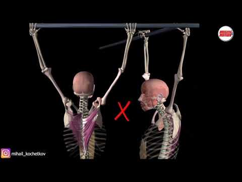 Видео: Подтягивания на турнике