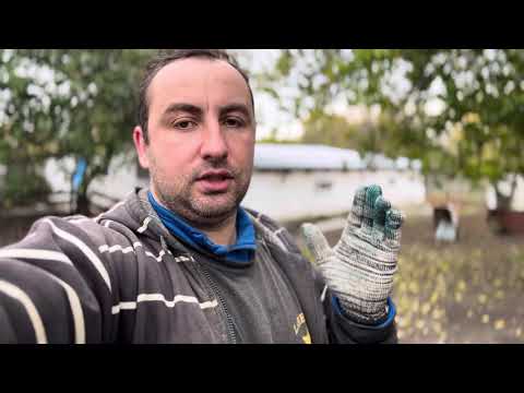 Видео: ШОКУЮЧІ ЦІНИ на САЛО, Зроду такого не БУЛО