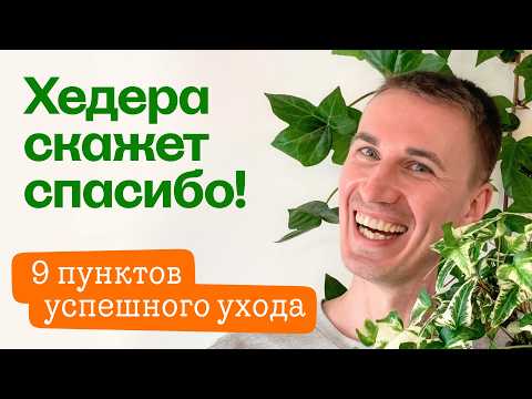 Видео: Правила ухода за Плющом/Хедерой. 9 пунктов успешного выращивания