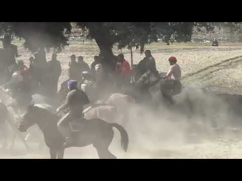 Видео: Бузкаши куҳистони Мастчоҳ  аспи Дарғи Шариф асп бо лақаби "BRABUS" 