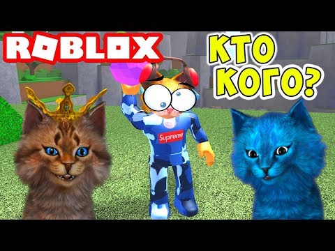 Видео: КТО САМЫЙ КРУТОЙ КОТ?! Roblox Cursed Island Котик Игроман и Котёнок Лайк