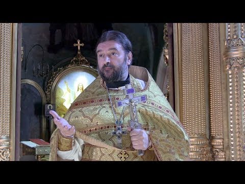 Видео: Первое ЧУДО в Кане Галилейской. Прот.Андрей Ткачёв (05.08.2017г.)