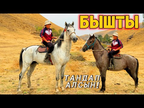 Видео: ЭКИ АТТЫН БИРӨӨСҮН САТАМ 💪🏻 #байтв 
