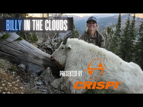 Видео: БИЛЛИ В ОБЛАКАХ — охота Николь на горного козла в Айдахо