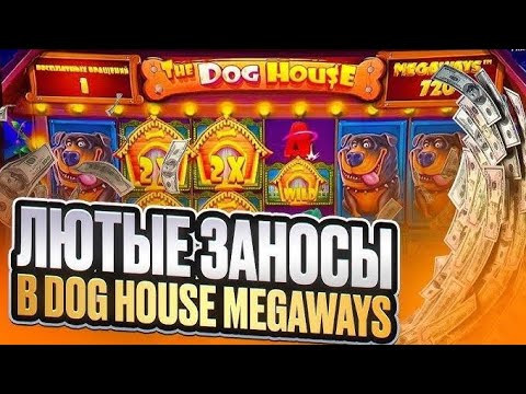 Видео: ЗАКИНУЛ ЛЯМ В СОБАК И ВОТ ЧТО ИЗ ЭТОГО ВЫШЛО | THE DOG HOUSE MEGAWAYS | ALL IN И ЗАНОСЫ НЕДЕЛИ