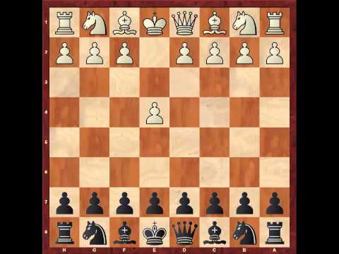 Видео: Скандинавская партия (чёрными). 2 серия. Для 2 - 3 разряда