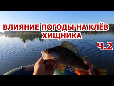 Видео: РЫБАЛКА НА СПИННИНГ,ВТОРАЯ ЧАСТЬ.