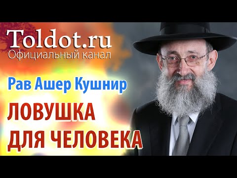 Видео: Рав Ашер Кушнир. Жажда почета. Месилат Йешарим 73