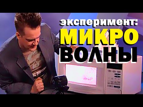 Видео: Галилео. Эксперимент. Микроволны