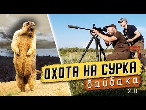 Видео: Охота на сурка байбака. (расширенная версия)