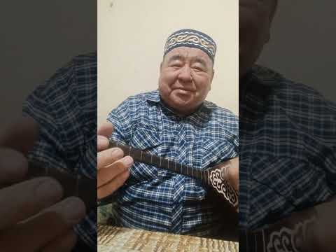 Видео: Абдикарим .сагындымгои Ауылды 87025842860 анши